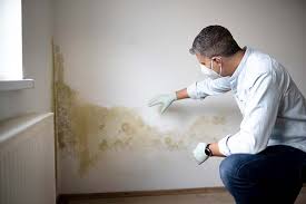 Why You Should Choose Our Mold Remediation Services in Pleasant Hill, CA